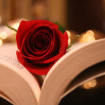 beautiful-book-flower-lovely-pretty-Favim.com-129710